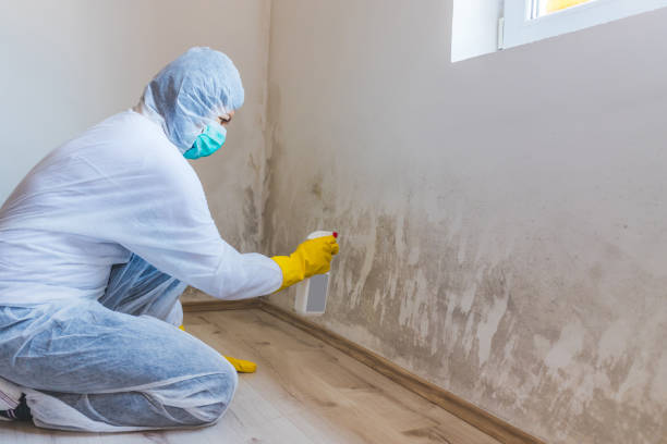 Licensed Mold Testing service in Woodland, PA - WQB Mold Removal