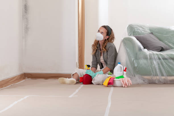 Reliable Mold Testing contractor in Woodland, PA by WQB Mold Removal
